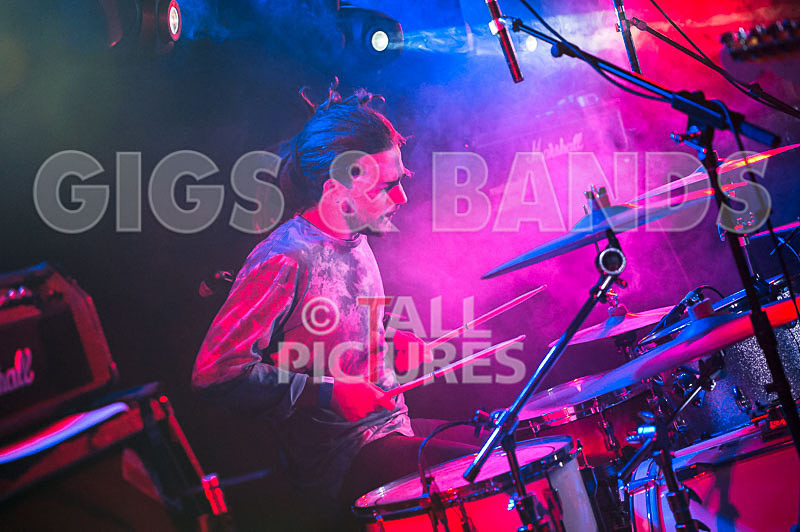 Tadhg Daly-60 - TADHG DALY