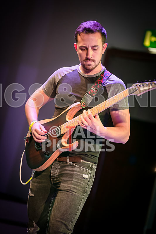 Granite Wolf-71 - GRANITE WOLF