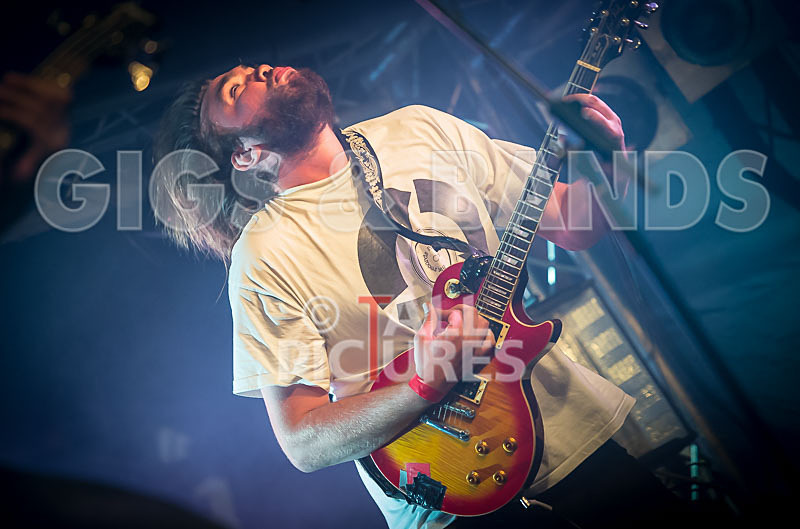 To the Woods-260 - TO THE WOODS