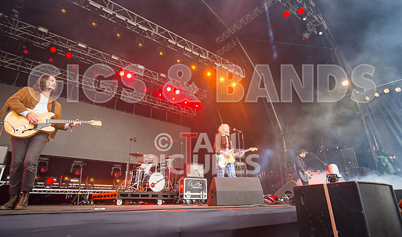 Black Honey-50 - BLACK HONEY