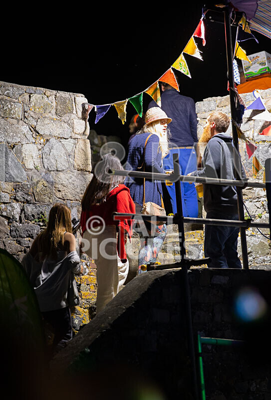 VEF 2021_The Scene-21 - VALE EARTH FAIR 2021_THE SCENE