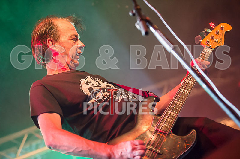 The Electric Shakes-97 - THE ELECTRIC SHAKES