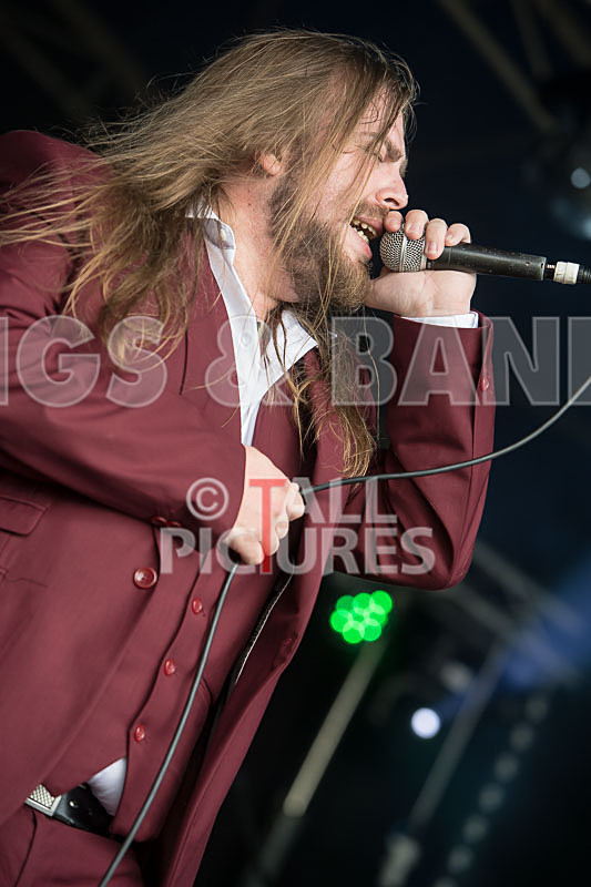 Stone Em All-293 - STONE EM ALL