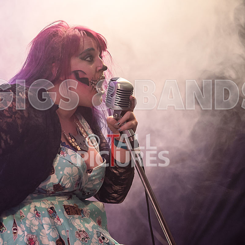 Static Alice-744 - STATIC ALICE