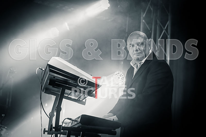 King Rat the Soul Cats-413 - KING RAT AND THE SOUL CATS