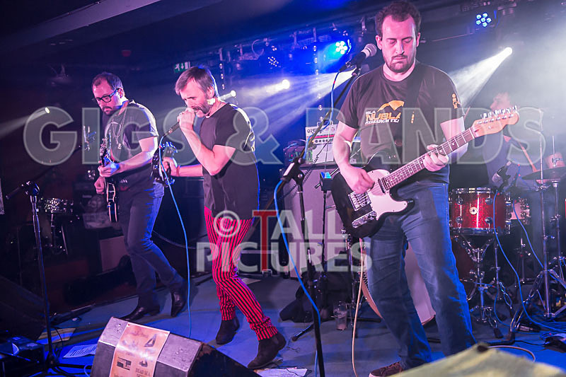 Thee Jenerators-368 - THEE JENERATORS