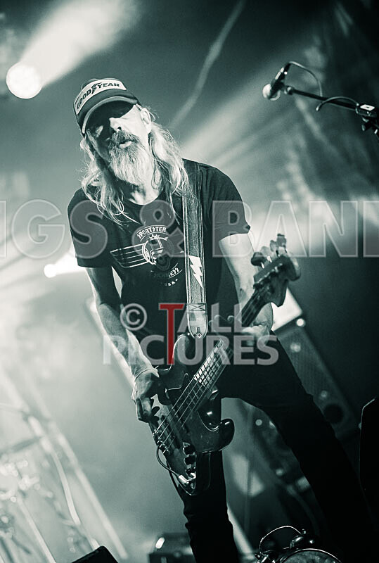 The Electric Shakes-179 - THE ELECTRIC SHAKES