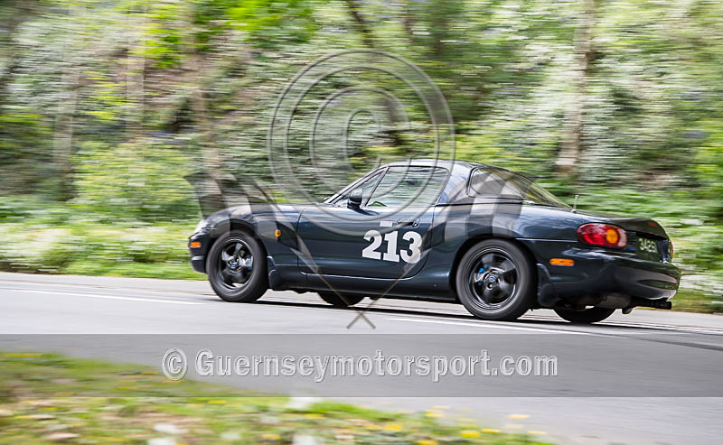 HILLCLIMB CAR_17-04-2017-163 - CARS_17-04-2017