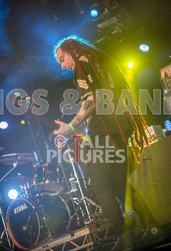 Levellers-37 - LEVELLERS