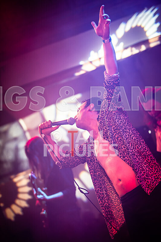 Pigsx7-54 - PIGS PIGS PIGS PIGS PIGS PIGS PIGS