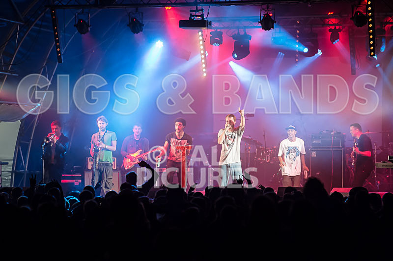 The Mouse Outfit-50 - THE MOUSE OUTFIT