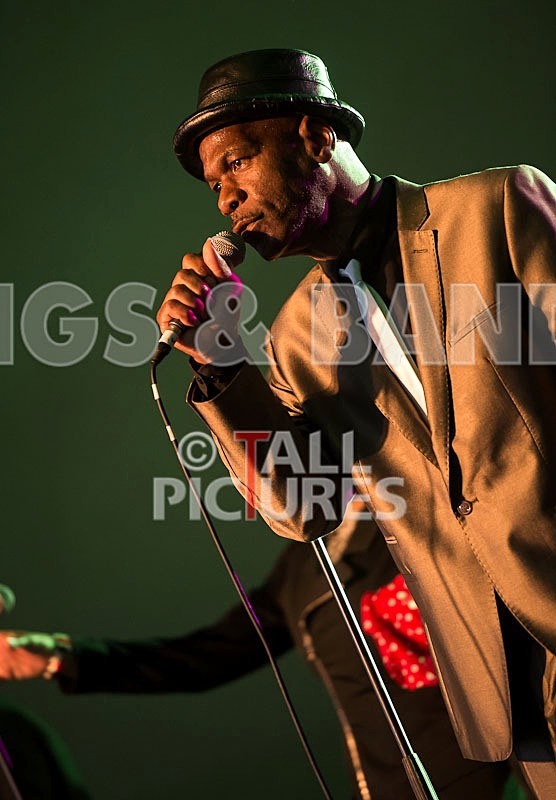 The Selecter-6 - THE SELECTER