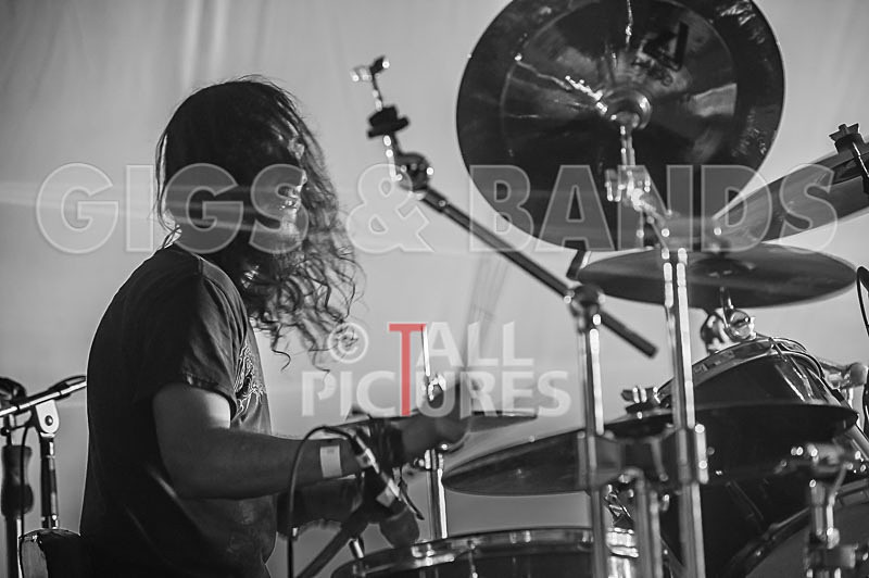 Distant Shores-101 - DISTANT SHORES