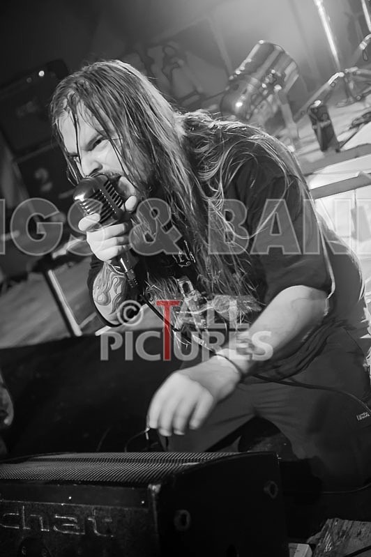 Stone Em All-93 - STONE EM ALL