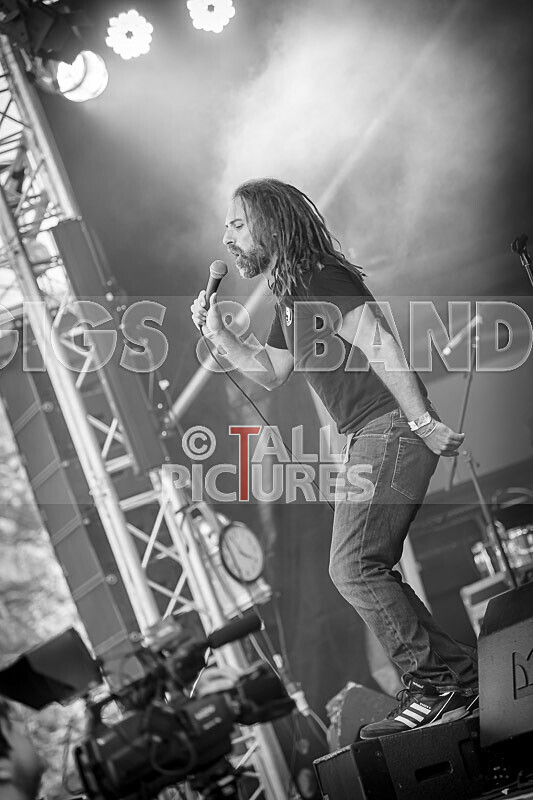 Benny the Moth-125 - BENNY THE MOTH