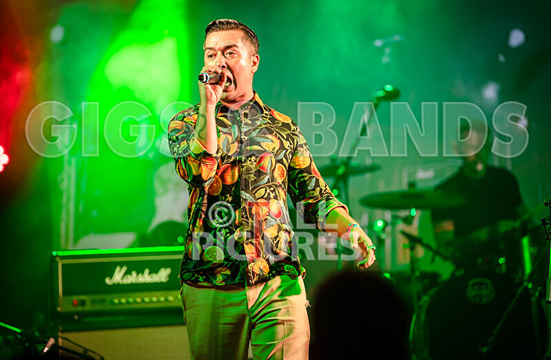 The King Blues-2 - THE KING BLUES