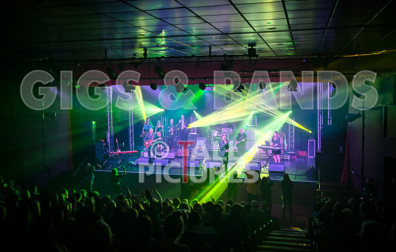 Harry Dean Junior and the New Breed-47 - HARRY DEAN JUNIOR AND THE NEW BREED