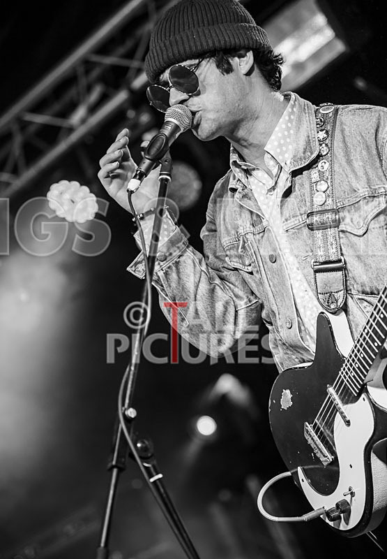 Surfin Birds-42 - SURFIN' BIRDS