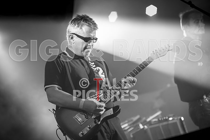 Sons of the Desert-347 - SONS OF THE DESERT