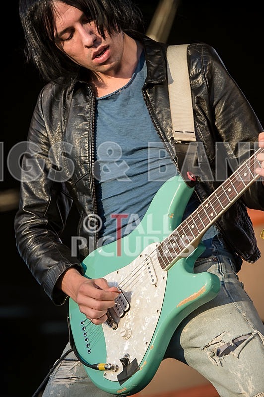 The Cribs-1 - THE CRIBS