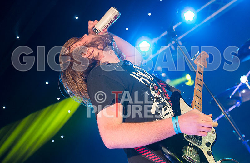 To the Woods-363 - TO THE WOODS