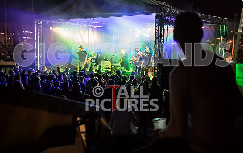 Sons of the Desert-284 - SONS OF THE DESERT