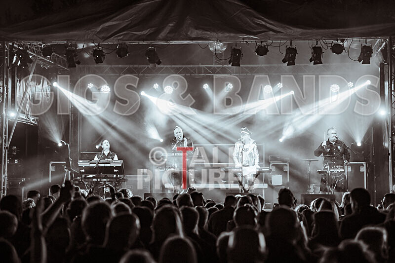 Fade2Grey-450 - FADE2GREY