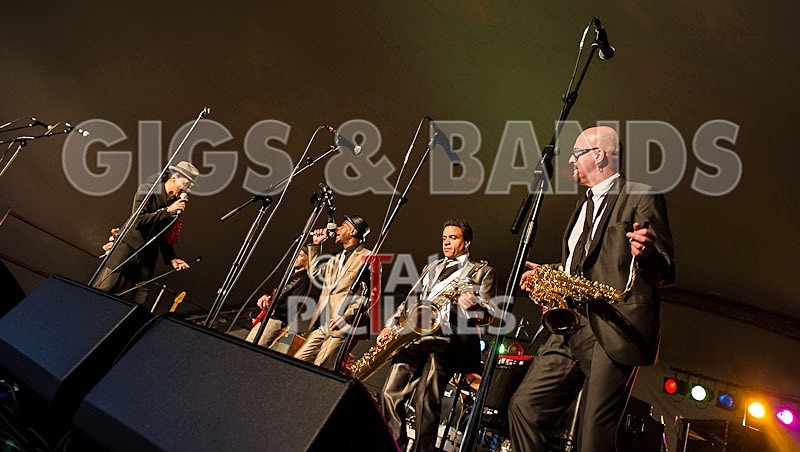 The Selecter-20 - THE SELECTER