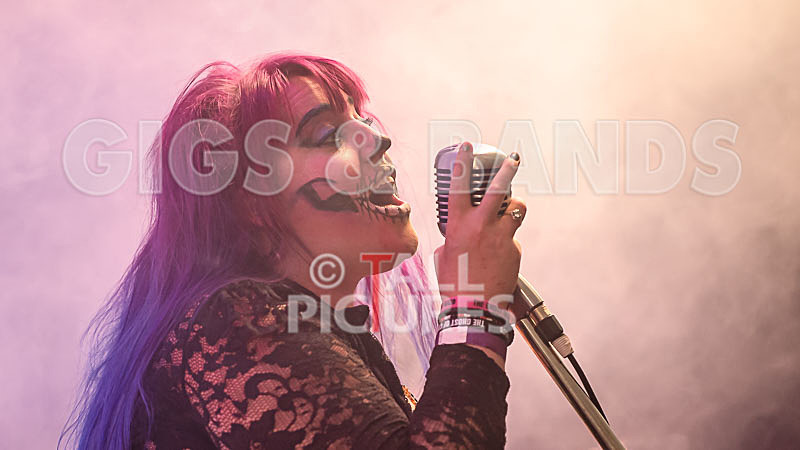 Static Alice-738 - STATIC ALICE