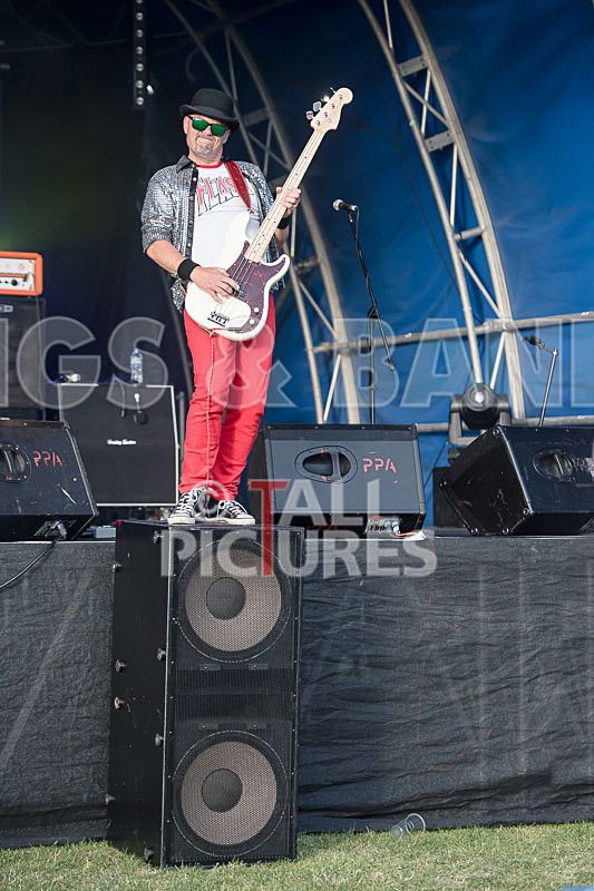 Peppered Ant Legs-253 - PEPPERED ANT LEGS