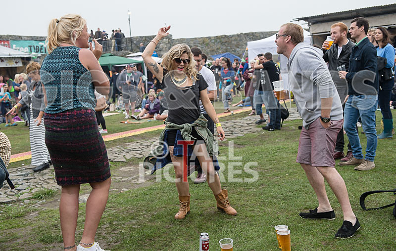 Vale Earth Fair 2015_Atmosphere-76 - VALE EARTH FAIR 2015_THE ATMOSPHERE