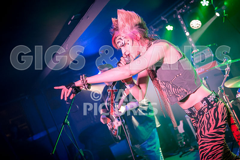 Pussycat and the Dirty Johnsons-120 - PUSSYCAT AND THE DIRTY JOHNSONS