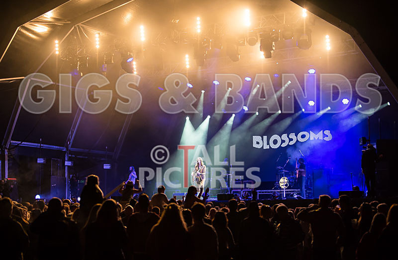 Blossoms-11 - BLOSSOMS