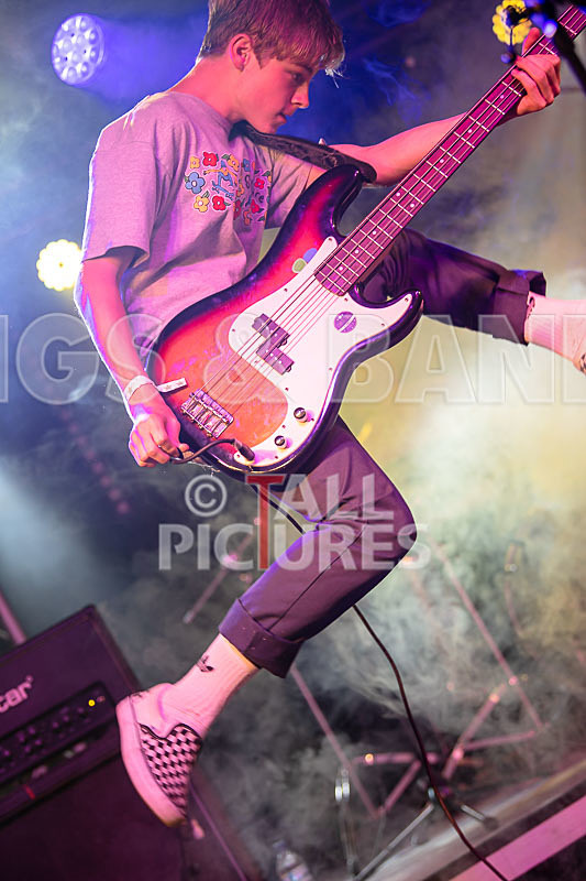 Cosmic Fish-43 - COSMIC FISH