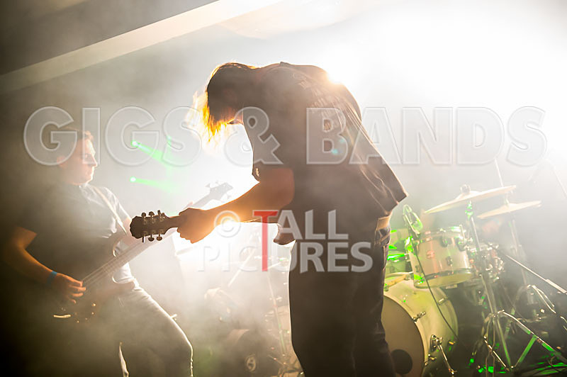 To the Woods-193 - TO THE WOODS