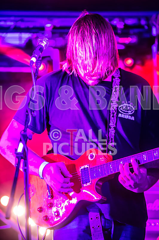 To the Woods-205 - TO THE WOODS