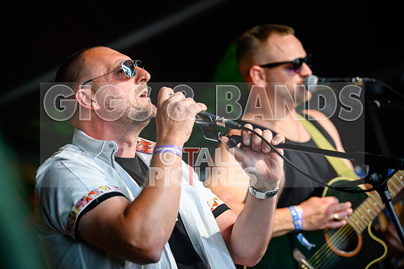 Arctic Donkeys-4 - ARCTIC DONKEYS