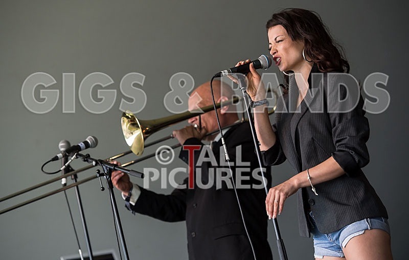 Kitten  The Hip-12 - KITTEN & THE HIP