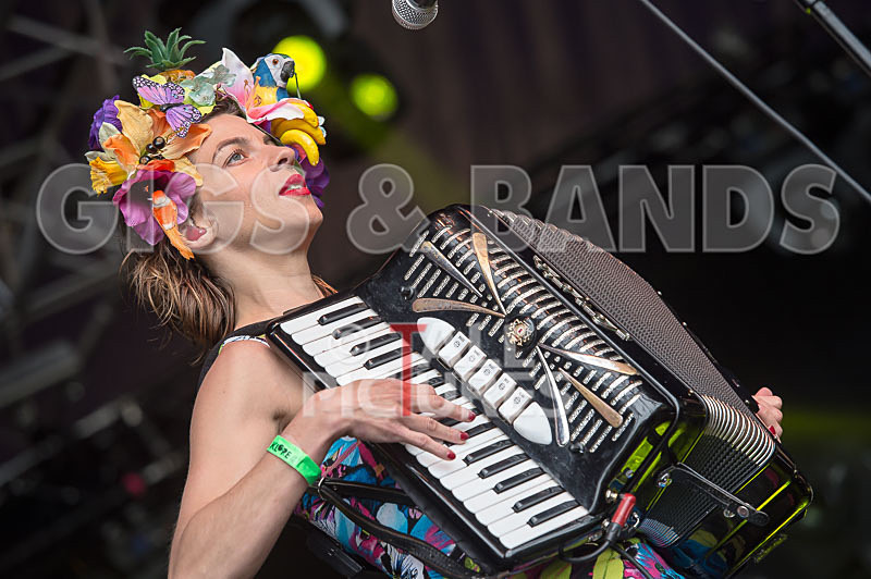 Molotov Jukebox-43 - MOLOTOV JUKEBOX