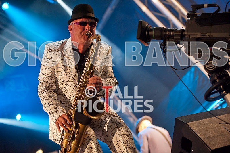 Madness-10 - MADNESS