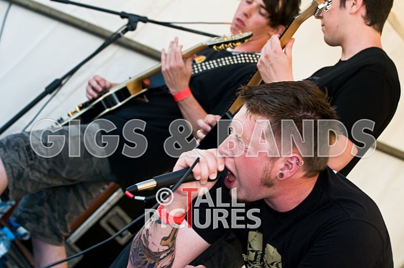 Greenman_Music-346 - GREENMAN CHAOS FESTIVAL 2008 BANDS