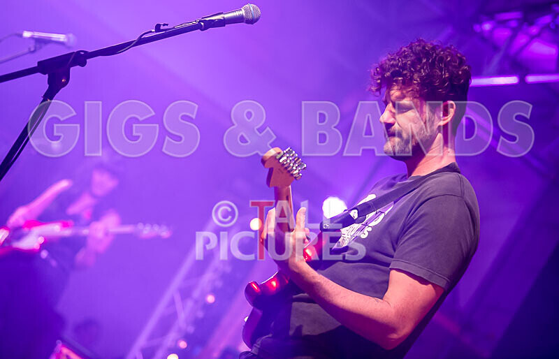 The Tarantulips-24 - THE TARANTULIPS