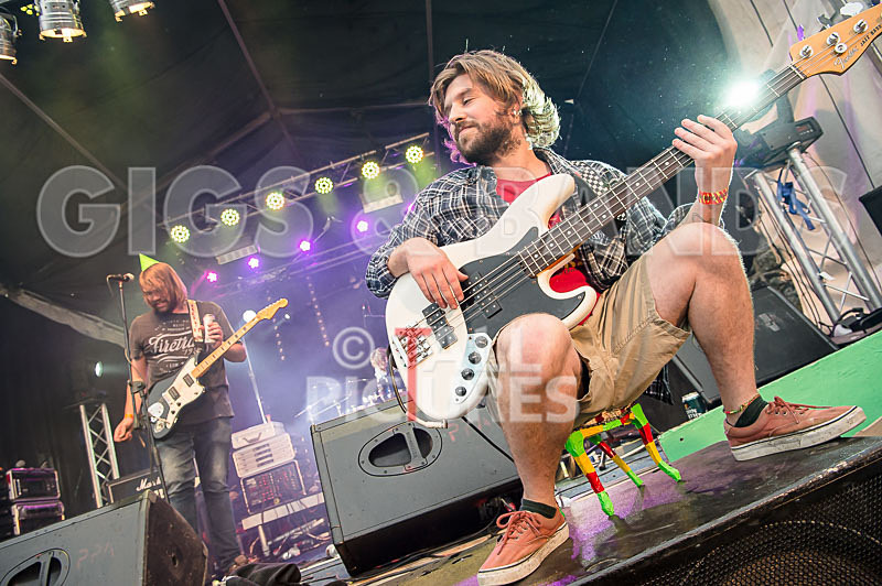 To the Woods-371 - TO THE WOODS