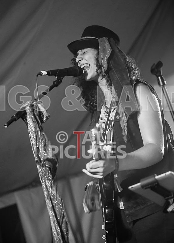 Static Alice-40 - STATIC ALICE