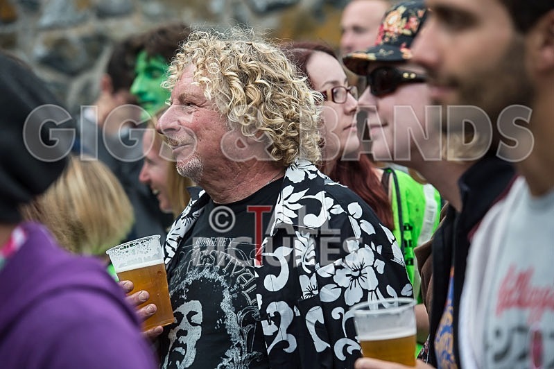 Vale Earth Fair_2013_Atmosphere-31 - VALE EARTH FAIR 2013_THE ATMOSPHERE