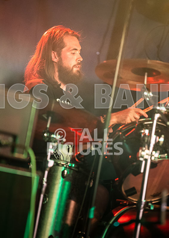 Masticated-3 - MASTICATED