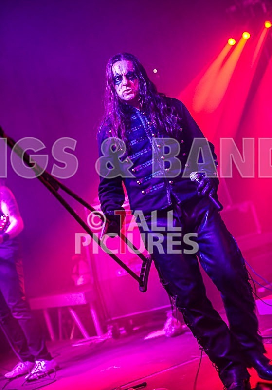 Gallus Cooper-17 - GALLUS COOPER