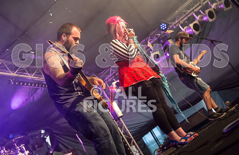 Static Alice-394 - STATIC ALICE