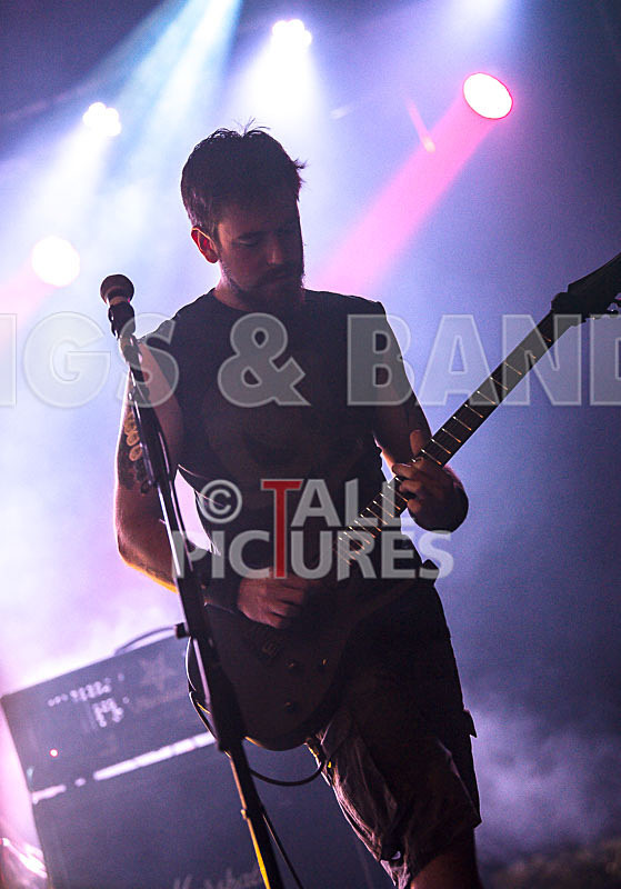 Demise of Sanity-140 - DEMISE OF SANITY