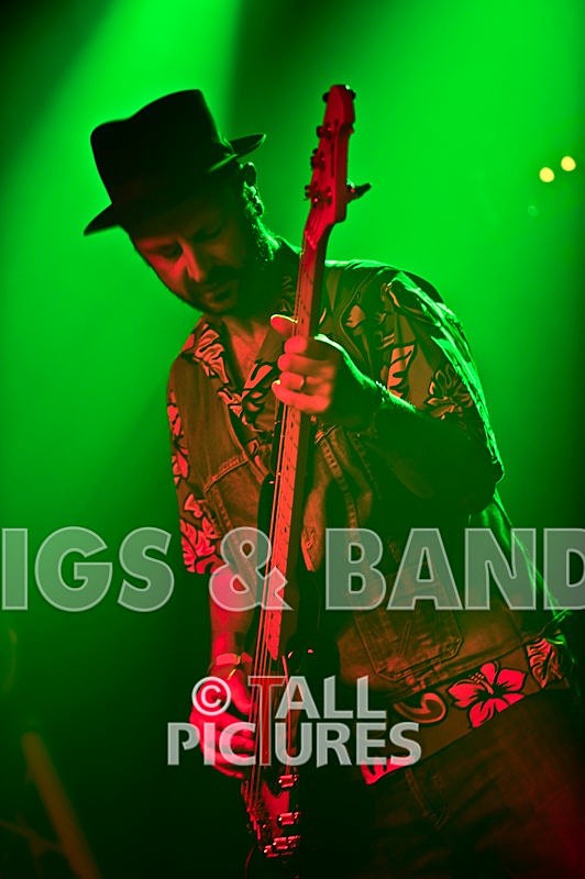 Peppered Ant Legs-77 - PEPPERED ANT LEGS